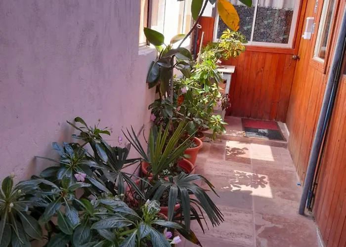 Departamentos Coguil